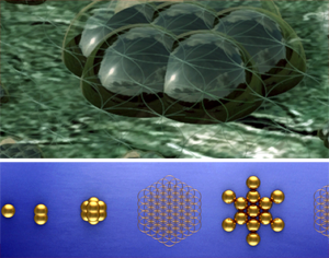 Flower of life